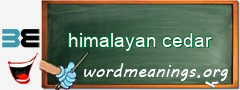 WordMeaning blackboard for himalayan cedar